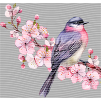 Animal Integration-DW 2177